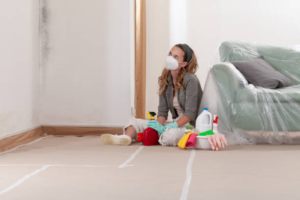Reliable Basement Mold Remediation contractor in Berwyn, PA by Car Mold Remediation